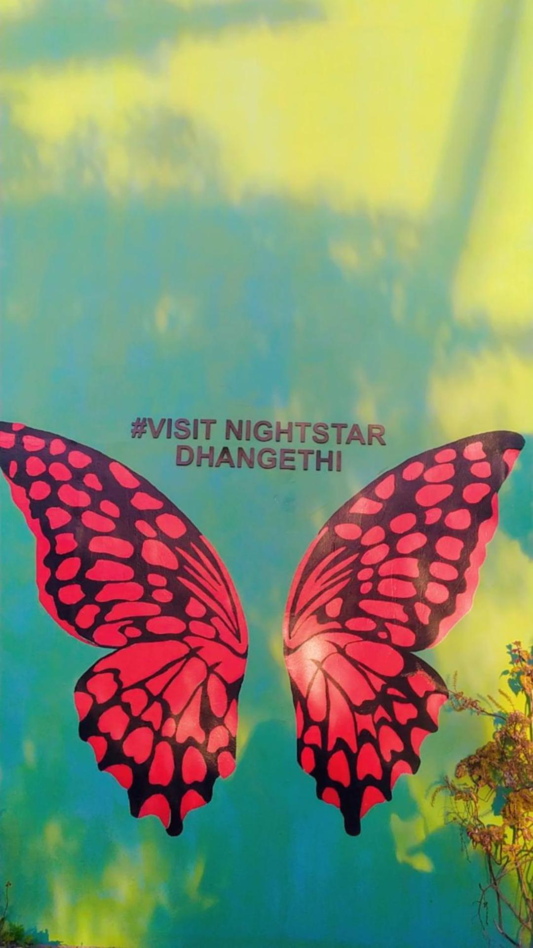 Bed and breakfast Night Star Dhangethi Extérieur photo