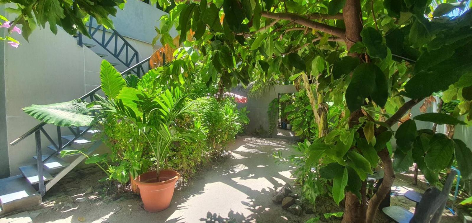 Bed and breakfast Night Star Dhangethi Extérieur photo
